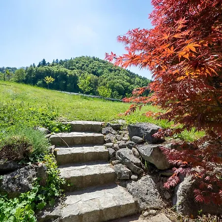 Seeliebe Und Gartenglueck